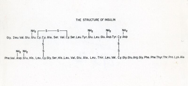 Struttura dell'Insulina