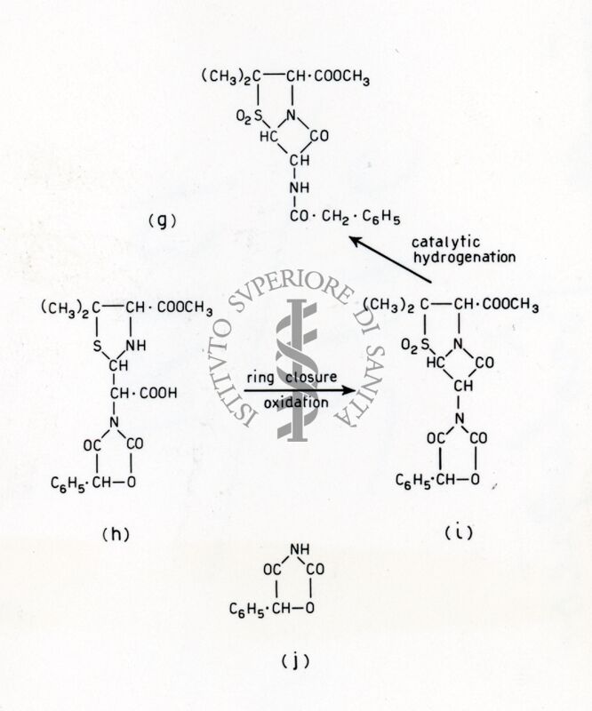 Sintesi della penicillina III