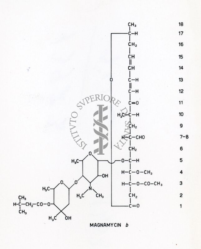 Magnamicina B