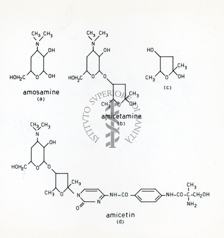 amicetina