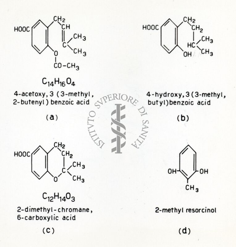 Prodotti di degradazione della novobiocina II