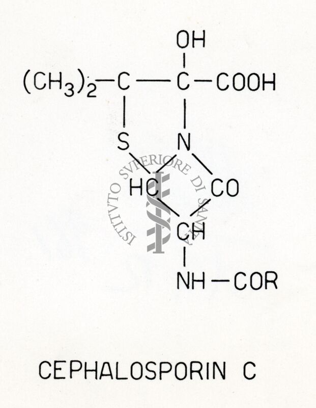 Cefalosporina C. (R)