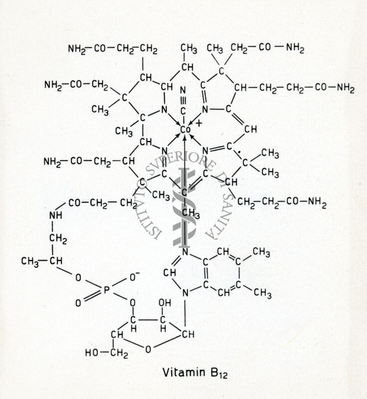 Formule della vitamina B12