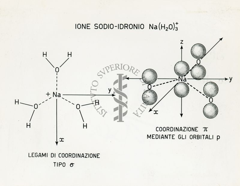 Effetti fisiologici e struttura elettronica degli ioni Sodio e Guanidinio