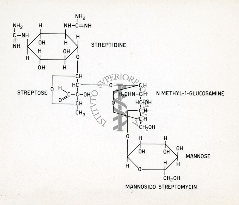 Mannosido streptomycin