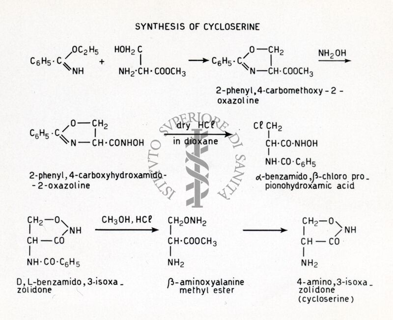 Synthesis of Cycloserine