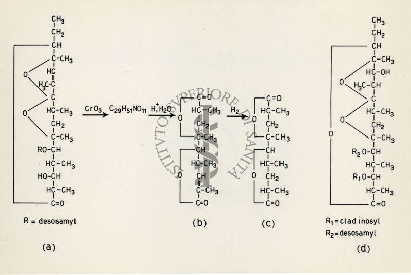 Degradazione dell'Eritromicina B