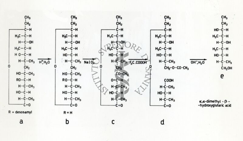 Degradazione dell'Eritromicina