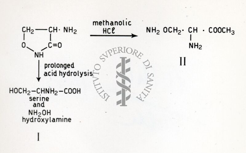 Degradazione II della cycloserina