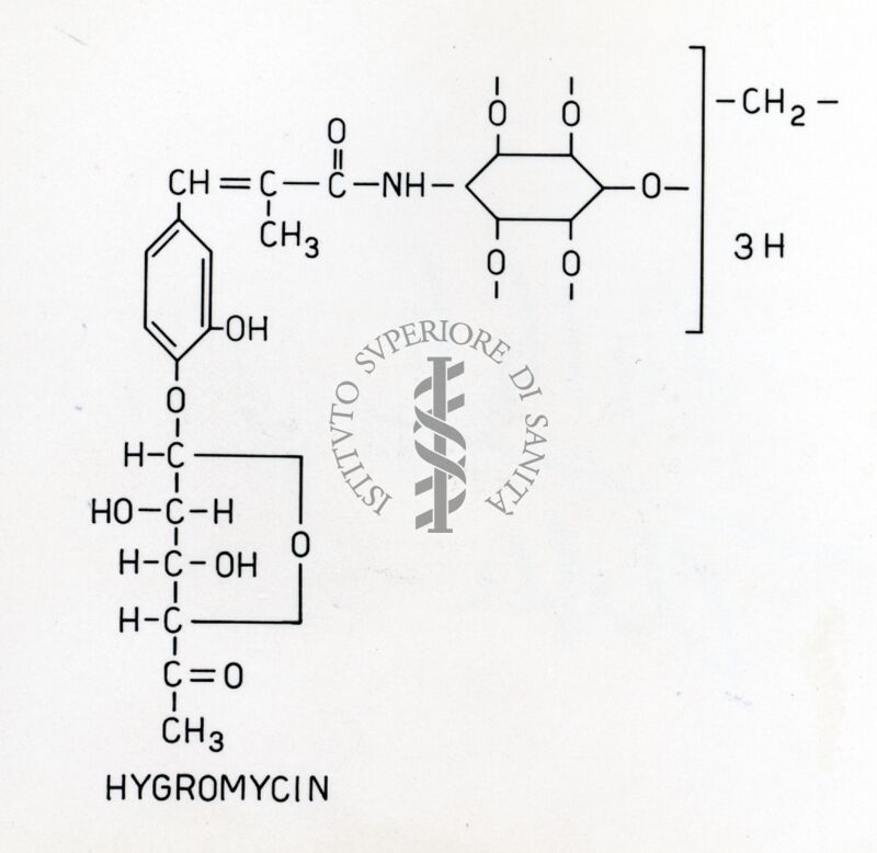 Igromicina