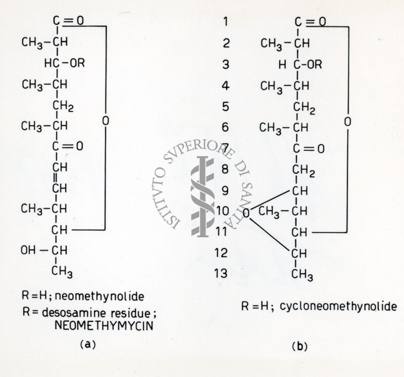 Neometicina