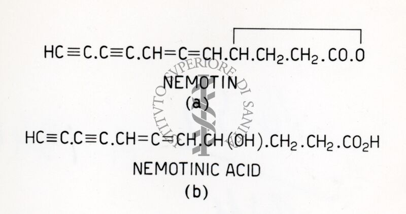 Nemotina