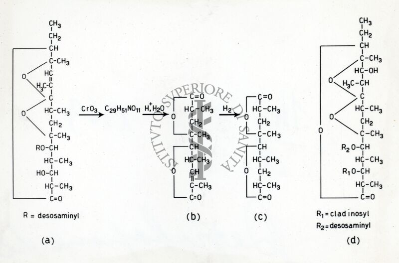 Degradazione dell'Eritromicina