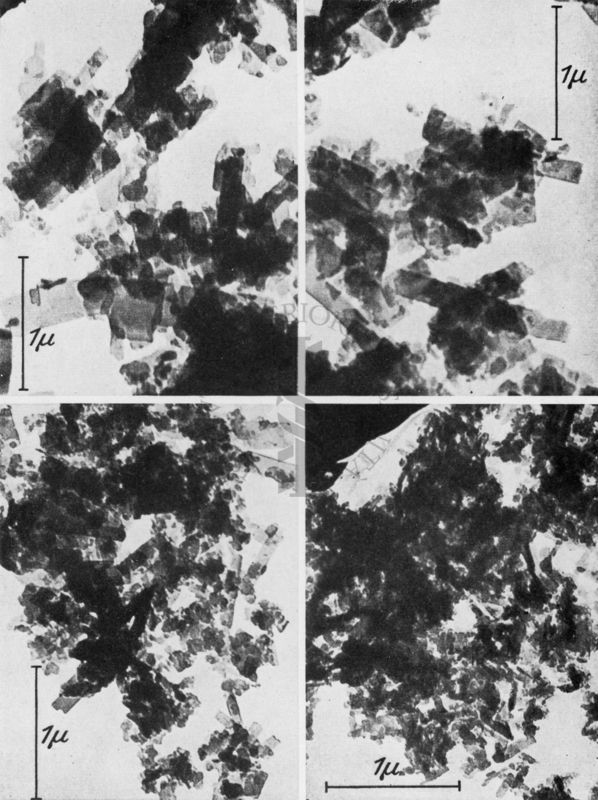 Pigmenti colorati con struttura cristallina, visti al microscopio elettronico a trasmissione