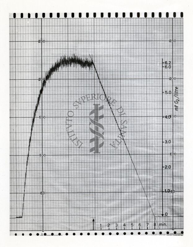 Riproduzione da grafico