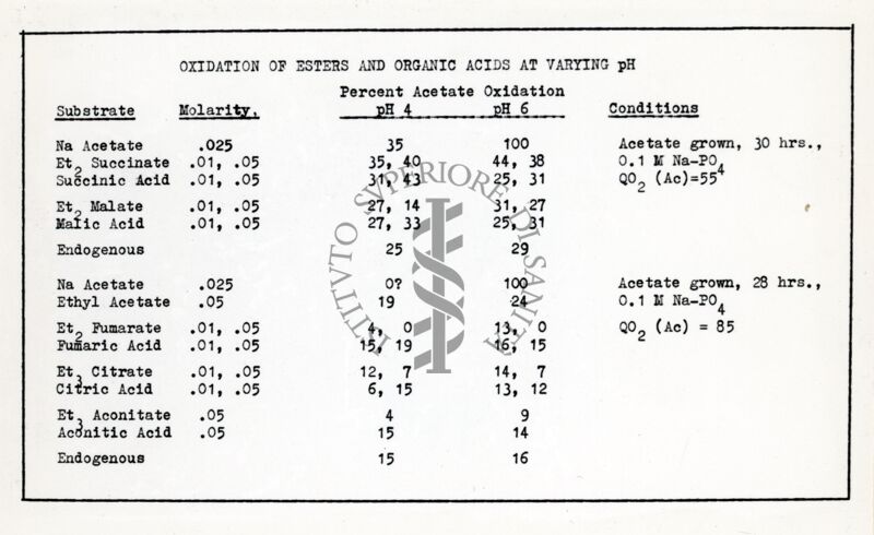 Riproduzione da dattilografia