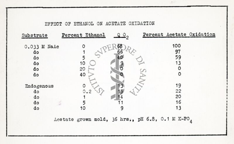 Riproduzione da dattilografia