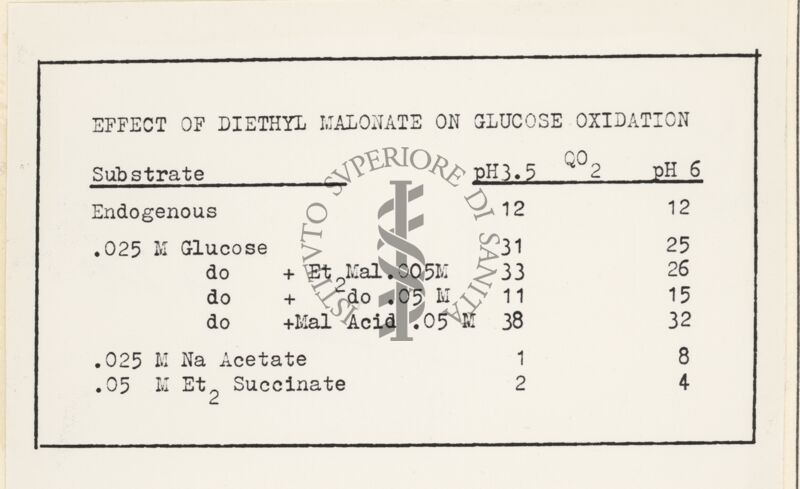 Riproduzione da dattilografia