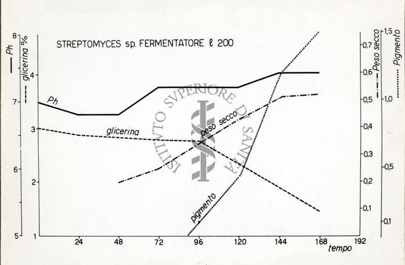 Riproduzione da disegno