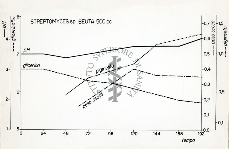 Riproduzione da disegno