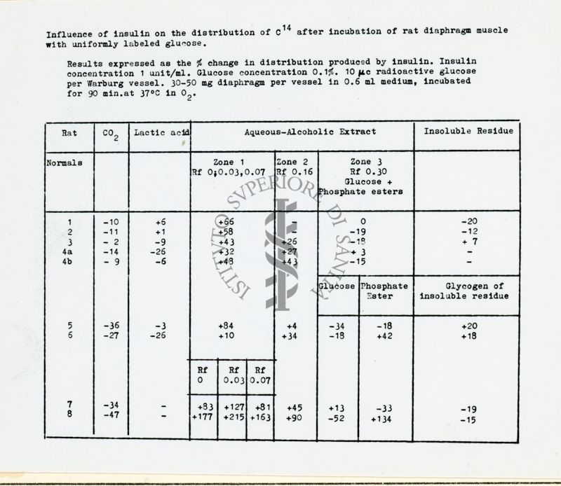 Riproduzione da copia dattilografata