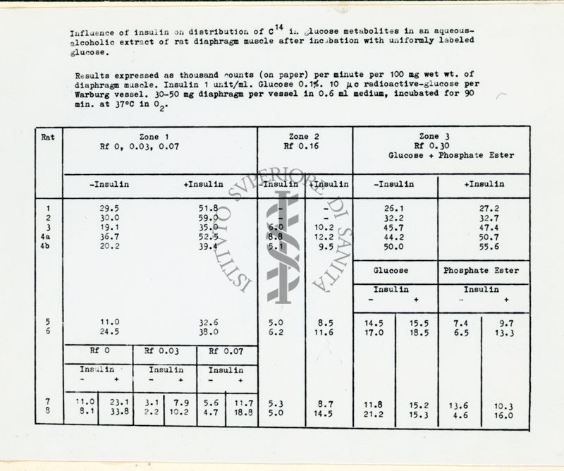 Riproduzione da copia dattilografata