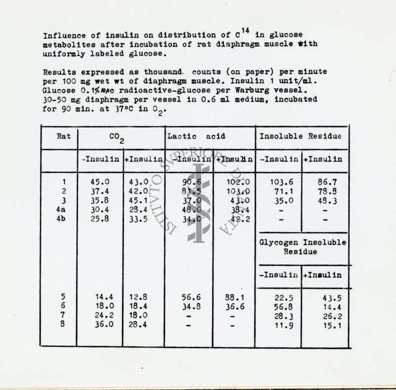 Riproduzione da copia dattilografata