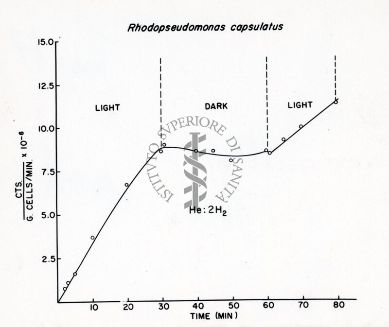 Fotoriduzione del CO2 da parte del batterio purpureo