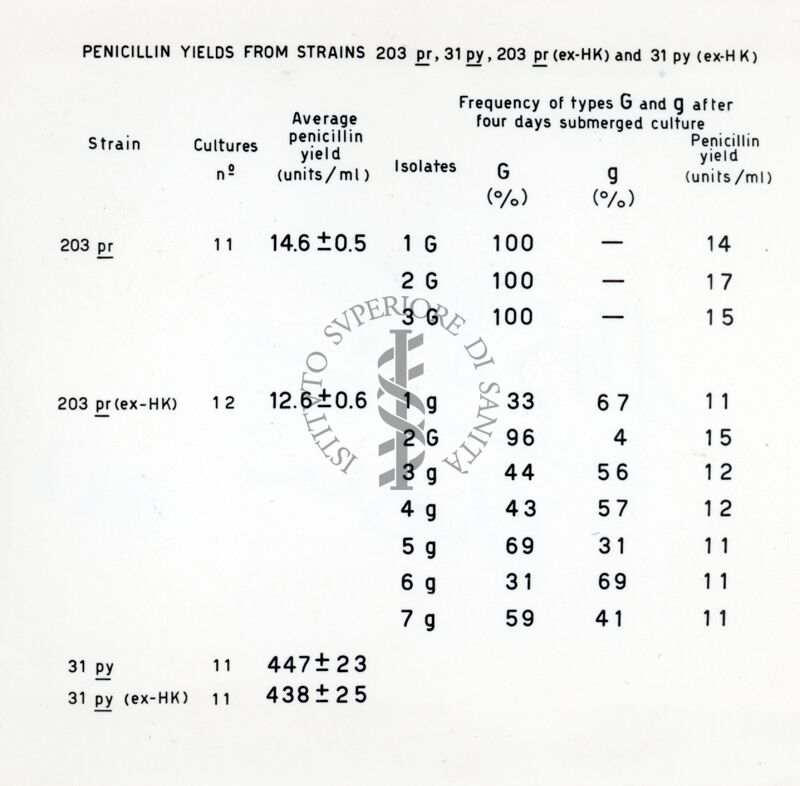 Comportamento ereditario della velocità di crescita in Penicillium.