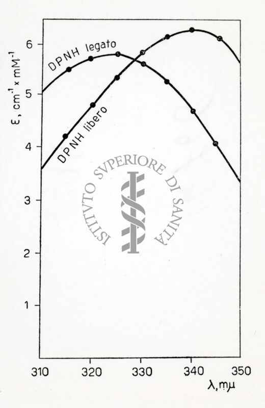 Attività metaboliche dell'adrenalina