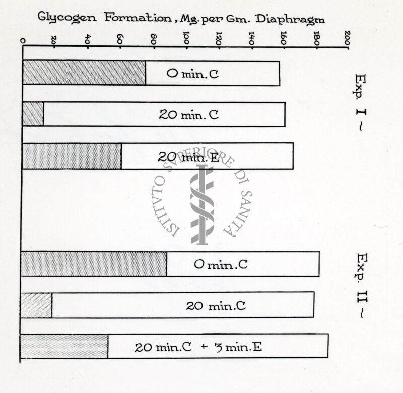 Attività metaboliche dell'adrenalina