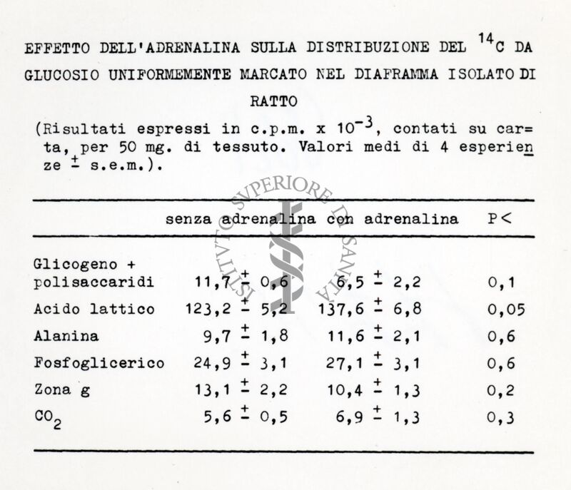 Attività metaboliche dell'adrenalina