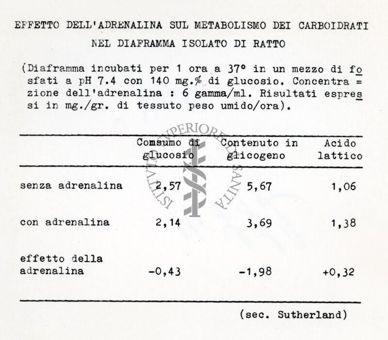 Attività metaboliche dell'adrenalina