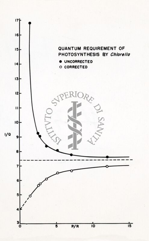 Quantum necessari per la fotosintesi (con chlorella)