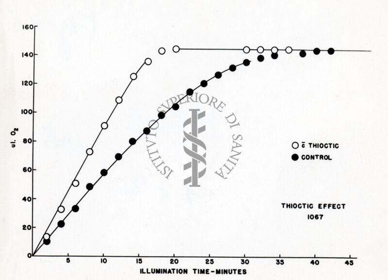 L'effetto dell'acido tiottico nella velocità di sviluppo dell'ossigeno da parte di alghe illuminate in presenza di chinone