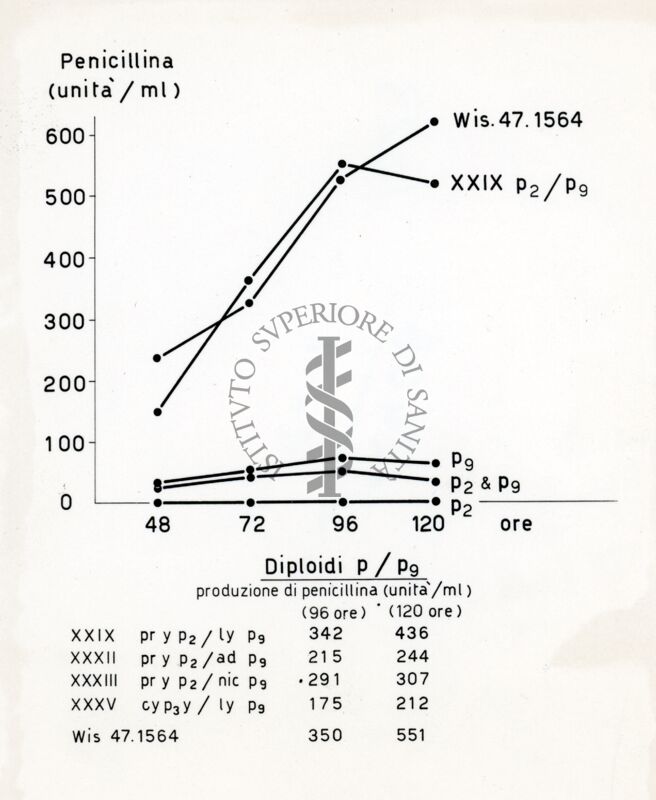 Grafico sulla produzione di Penicillina