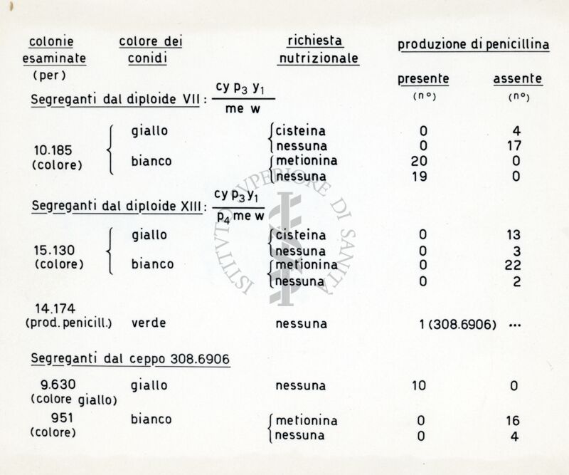 Tabella sulla produzione di Penicillina