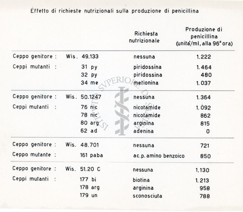 Tabella dal titolo: Effetto di richieste nutrizionali sulla produzione di penicillina