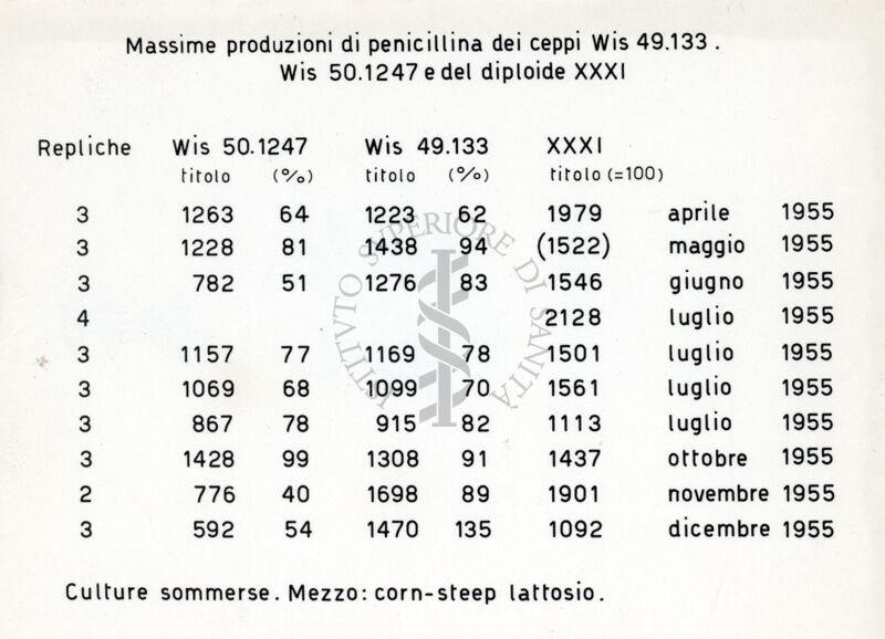 Tabella dal titolo: Massime produzioni di penicillina dei ceppi Wis. 49.133, Wis 50.1247 e del diploide XXXI