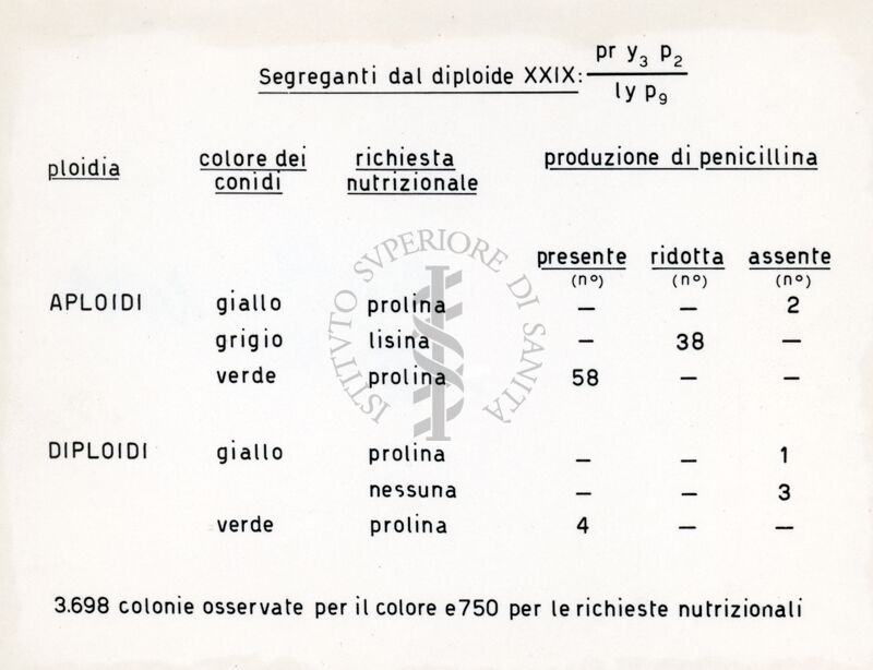 Tabella dal titolo: Segreganti dal diploide XXIX