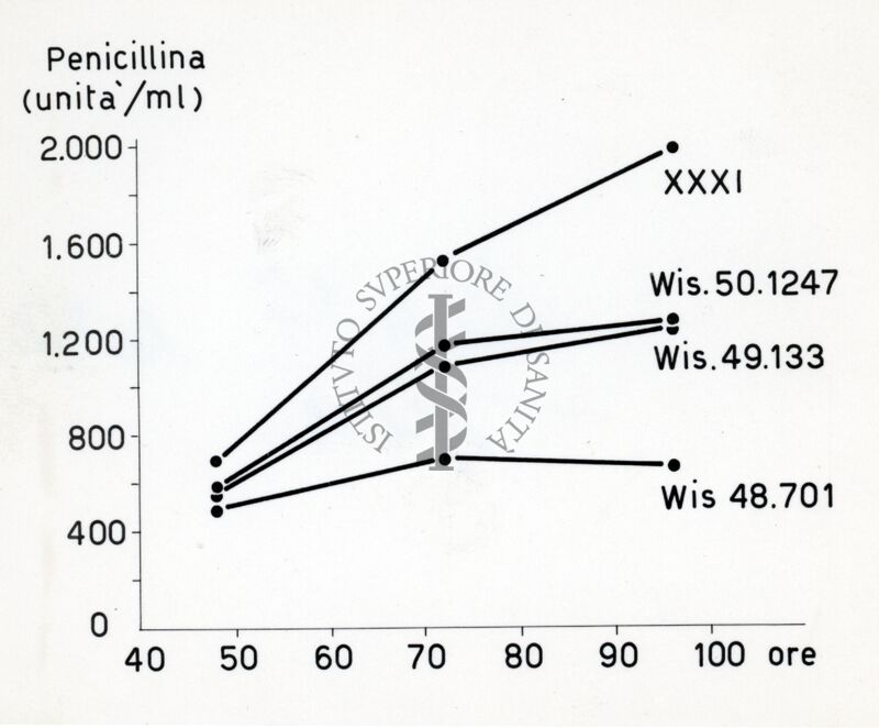 Grafico sulla penicillina in cui sono riportati i ceppi Wis. 48.701, Wis. 49.133, Wis. 50.1247, XXXI