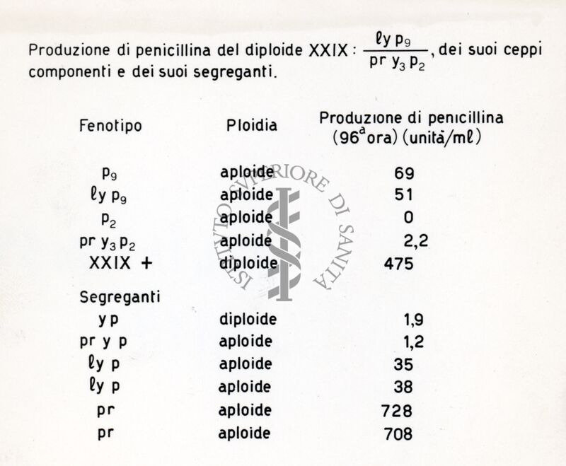 Tabella sulla produzione di penicillina del diploide XXIX, dei suoi ceppi componenti e dei suoi segreganti