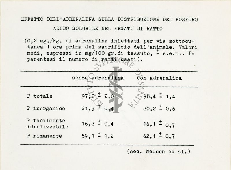 Attività metaboliche dell'adrenalina