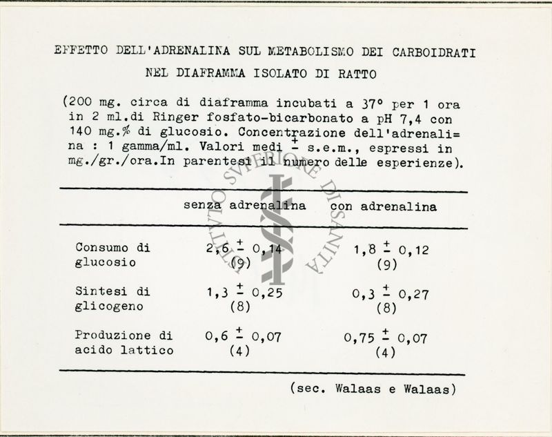 Attività metaboliche dell'adrenalina