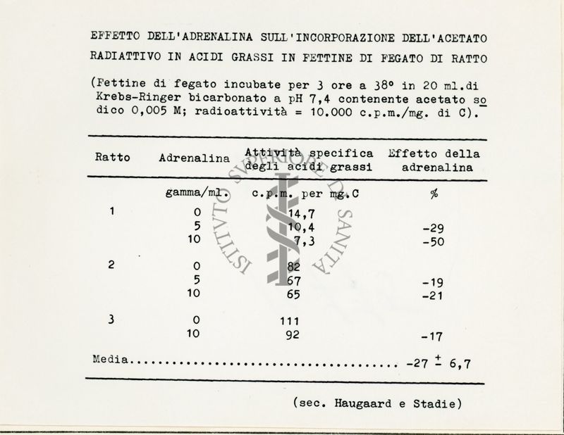 Attività metaboliche dell'adrenalina