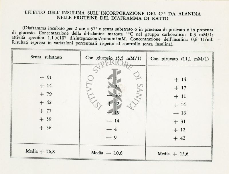 Attività metaboliche dell'adrenalina