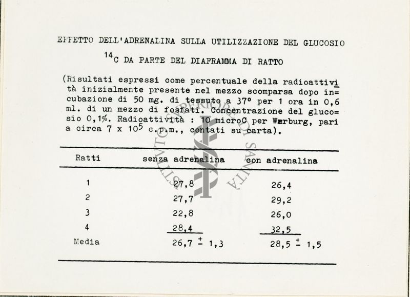 Attività metaboliche dell'adrenalina