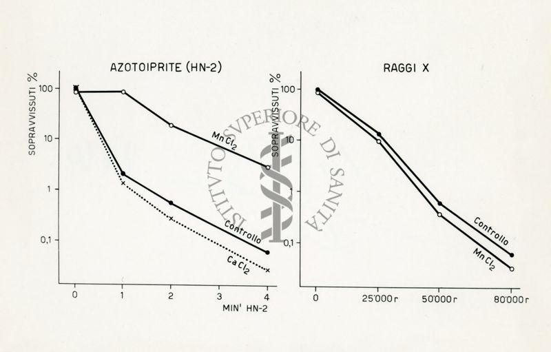 Riattivazione in penicillium