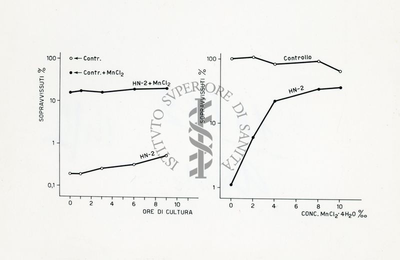 Riattivazione in Penicillium