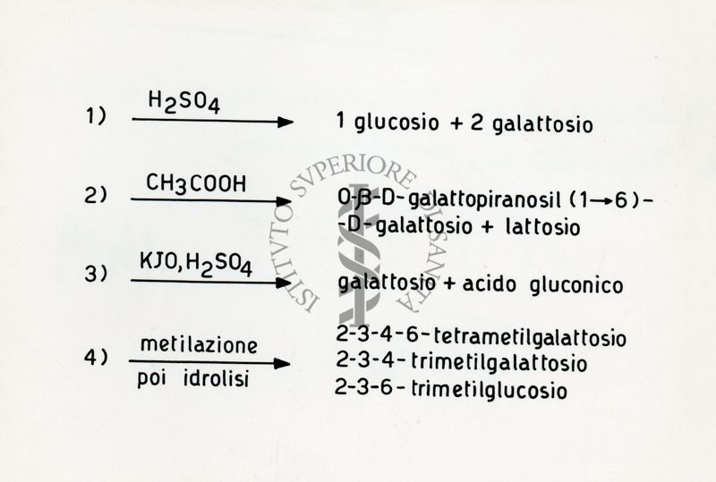 Struttura di un trisaccaride sintetizzato da Penicillium Chrysogenum